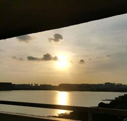 Blk 411 Pandan Gardens (Jurong East), HDB 3 Rooms #550979551